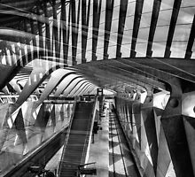 Shadows and Reflections by Mieke Boynton