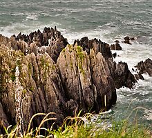 Rocky by JEZ22