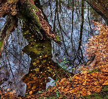 Reverberation by Edgar Laureano