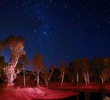Star Light by James mcinnes