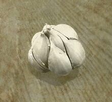 Garlic by Jess Meacham