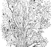 Evolutionary Tree by Regina Valluzzi