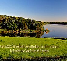 He Leadeth Me Beside the Still Waters by aprilann