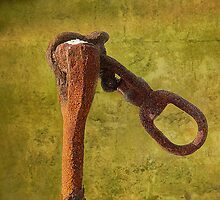 Thing-a-ma-jig by john forrant