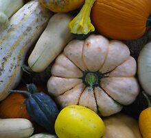 Heirloom Vegetables by Betty Mackey