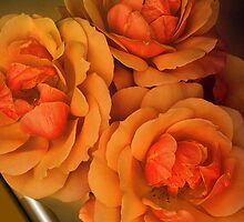 A Token Of My Thanks.... by Sharon House