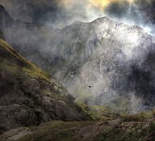 The Steep Frowning Glories by Kenart