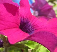 HEAVEN SCENT...ONE DAY AT A TIME by Colleen2012