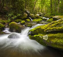 Great Smoky Mountains Gatlinburg TN Roaring Fork - Gift of Life by Dave Allen