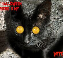 Happy Halloween Now Where`s My Witch? by Ladymoose