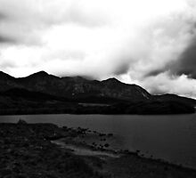 Ireland in Mono: Love Never Grows Old by Denise Abé