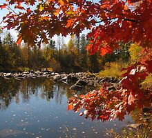 Jump River at Big Falls by Christine Ertl