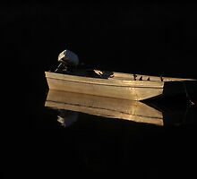 The Tinny by beaujest