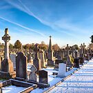 The Distance - Glasnevin Cemetery - Dublin by Mark Tisdale