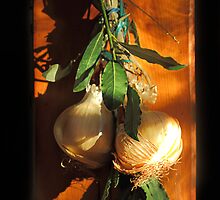 Bay leaves and onions by Paul Pasco