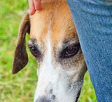 The Reassuring Touch by Susie Peek
