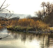 Island in the Stream by Scott Hendricks