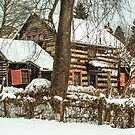 Joseph Bimeler Cabin by Andy Donaldson