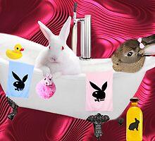 (\ /) THUMPERS CAN U PASS ME MY BATH SPONGE U SEXY EARS (\ /) by ✿✿ Bonita ✿✿ ђєℓℓσ