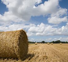 Harvest time in France by Ian Middleton
