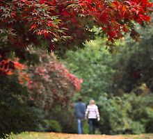 Love for all seasons by Irina Chuckowree