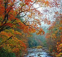 LITTLE RIVER,AUTUMN 2012 by Chuck Wickham