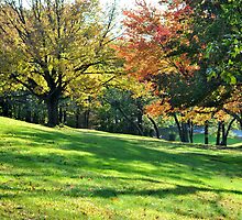 Pretty Foliage by savvysisstudio