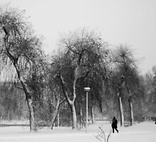 Braving the snowstorm by steppeland