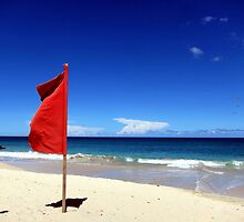 The Red Flag by John Dalkin