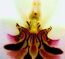 Little Princess - A New Perspective on Orchid Life by © Ashley Edmonds Cooke