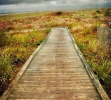 The Walkway by Debra Fedchin