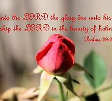 Worship the Lord in the beauty of Holiness by aprilann