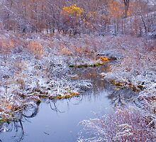Stillness Of A Late Fall by John De Bord Photography