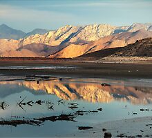 Tranquility in Reflection by Corri Gryting Gutzman