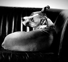 Why Do You Disturb Me? by Becky Hagan