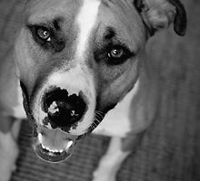 I'm All Smiles by Becky Hagan