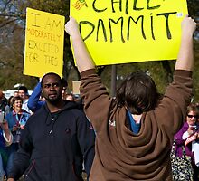 Chill Dammit, Rally to Restore Sanity by Edward Perry
