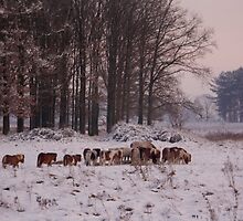 Wintergathering by liesbeth