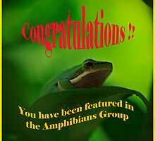 Amphibian Challenge by Sea-Change