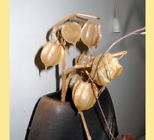 Organic materials-Show piece by BasantSoni