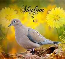 Shalom by Bonnie T. Barry