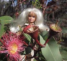 Red flowering gum by VeronicaPurple