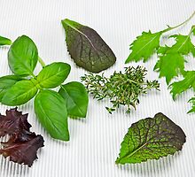 green Salad and spices by Joana Kruse