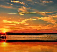 Psalm 19:1 The heavens declare the glory of God; the skies proclaim the work of his hands. by Penny Rinker