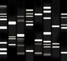 DNA Art White on Black by Michael Tompsett