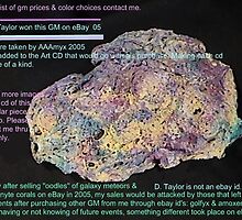 Galaxy Meteorite (sold on ebay in 2005) Winner D. Taylor by aaron a amyx