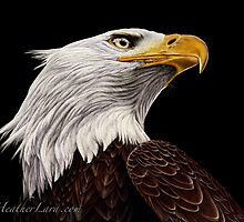 Strength and Determination by Heather Lara