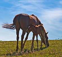 Mother care (V) by Konstantinos Arvanitopoulos