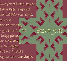 Grace hath been shewed from the Lord our God. . . by aprilann