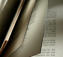 Flipping Through the Pages by owlnothuman